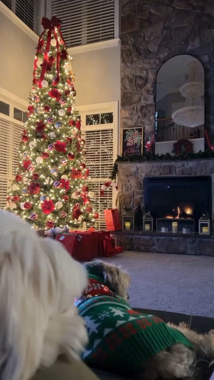 My 12ft pre-lit tree is on super sale! 🎄

#michaels #christmas #christmastree

#LTKSeasonal #LTKHoliday #LTKsalealert