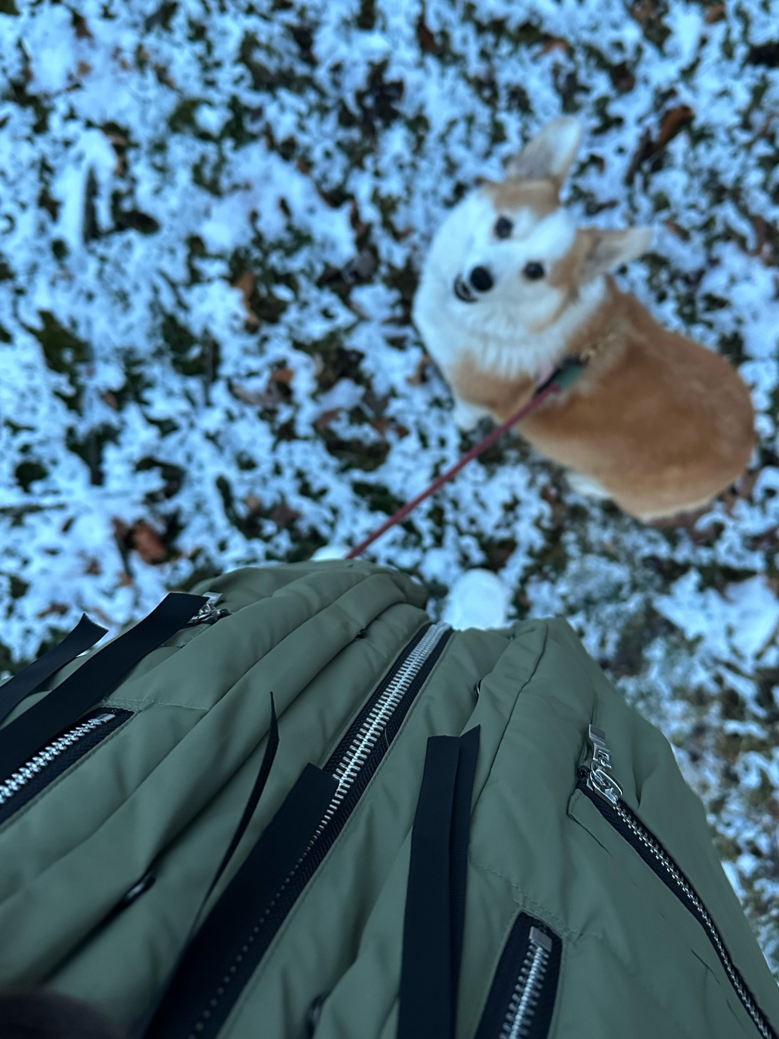 Really putting the Amazon parka to use this week… 🥶

Shop some of my favorite, comfy cold weather staples here! If you’re thinking about gifting something like this to a loved one (or yourself), it looks like they’d be to you by Christmas, and most are on sale. 🎁🎉

#LTKHoliday #LTKGiftGuide #LTKSeasonal