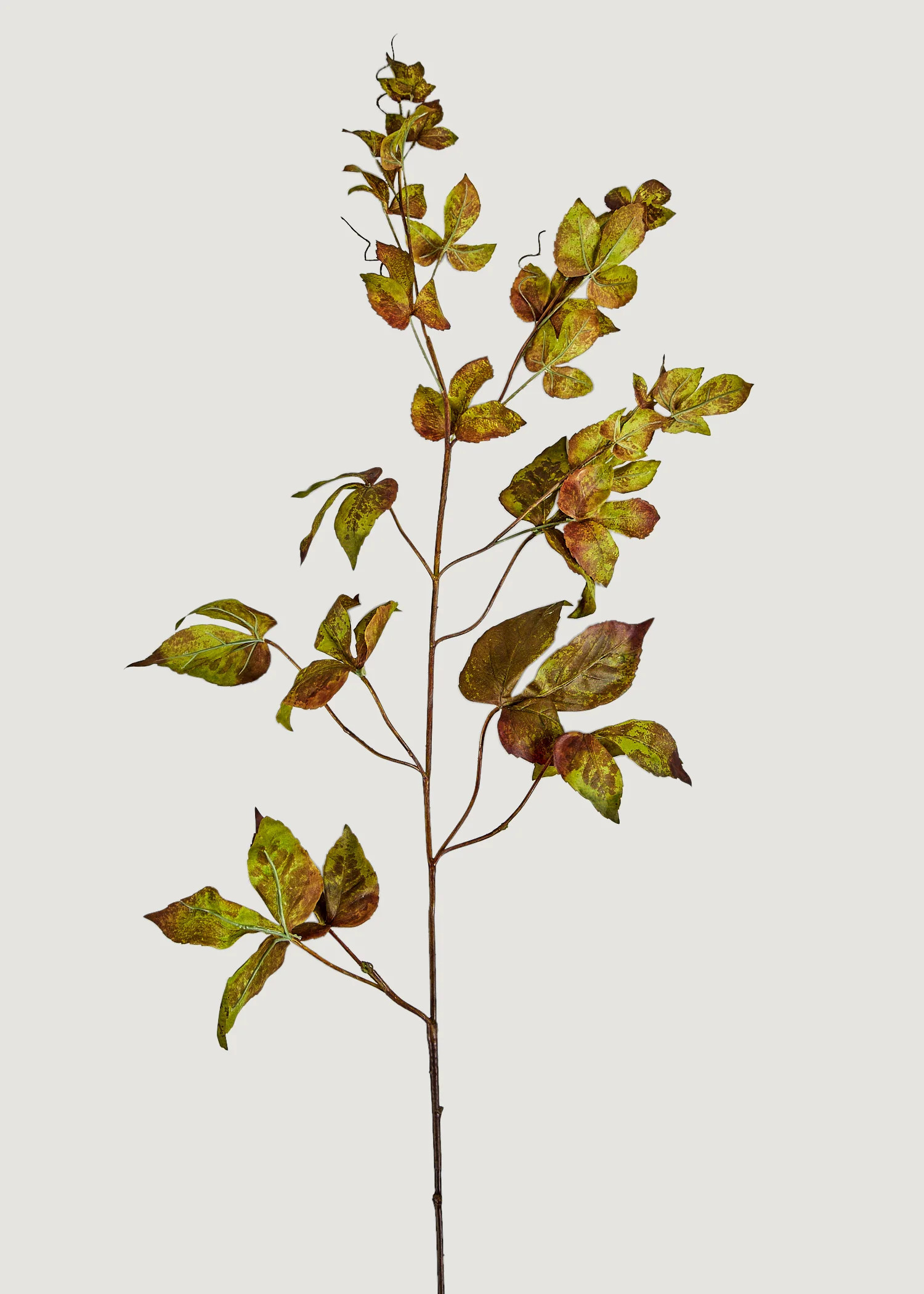 Faux Grape Ivy Garland Stem in Green Eggplant - 48" | Afloral