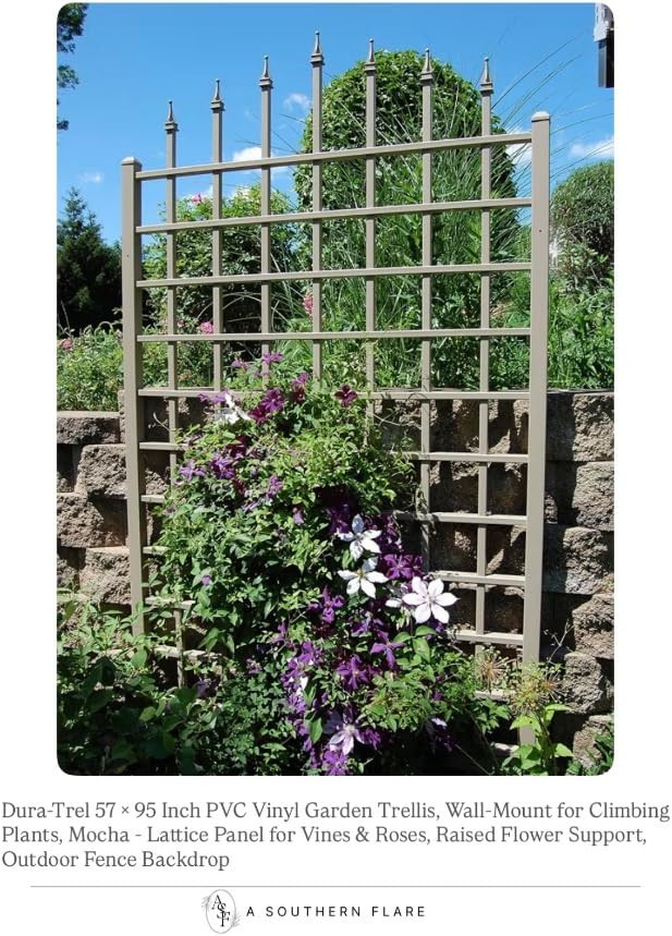 Transform your garden with this beautiful trellis. Perfect for climbing plants and adding a touch... | Amazon (US)