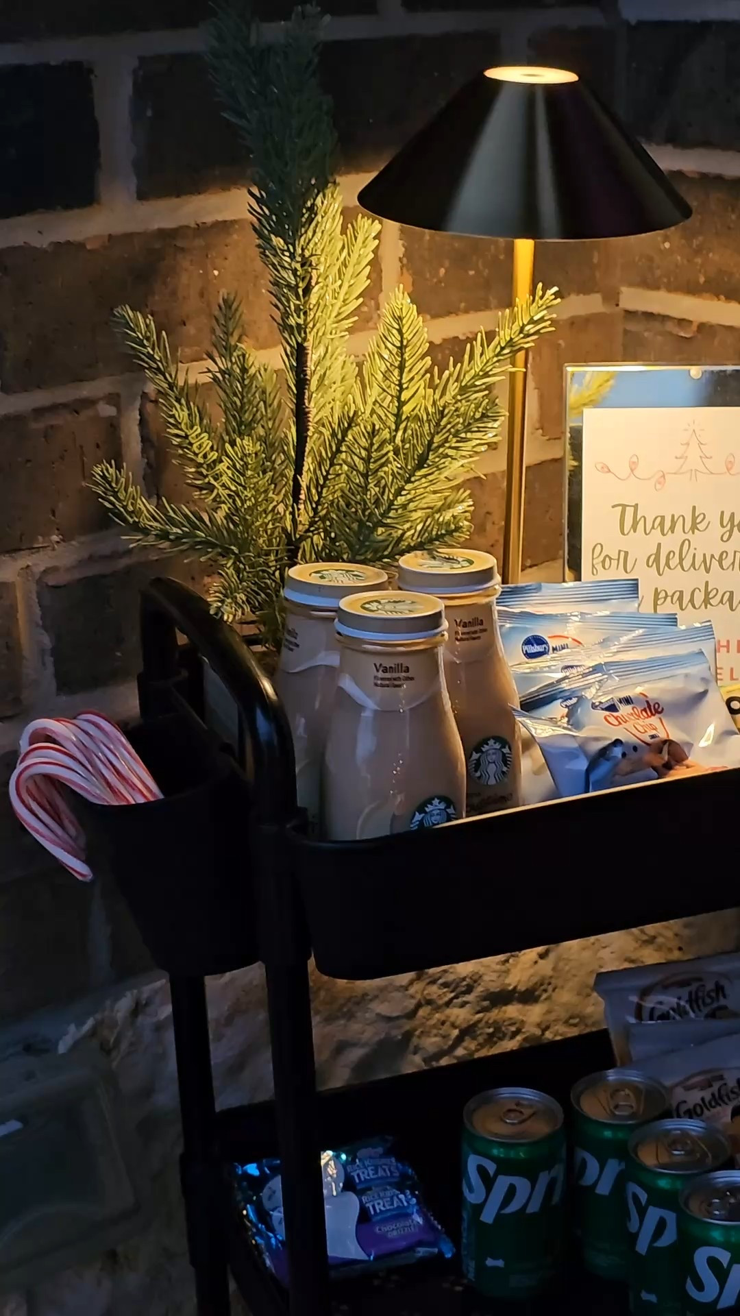 I’ve always wanted to do this! This year I placed out a snack cart for all the delivery people that come by and it has been such a joy seeing their reactions! 

#LTKHoliday #LTKHome #LTKSeasonal