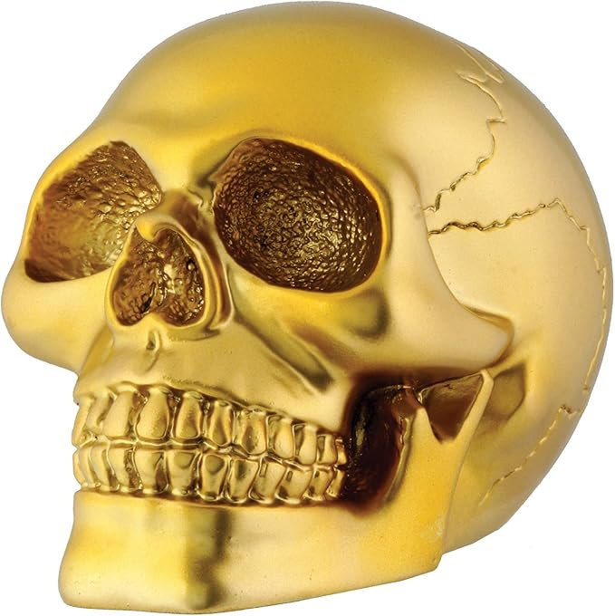 Gold Skull Head Collectible Skeleton Decoration Figurine Model | Amazon (US)