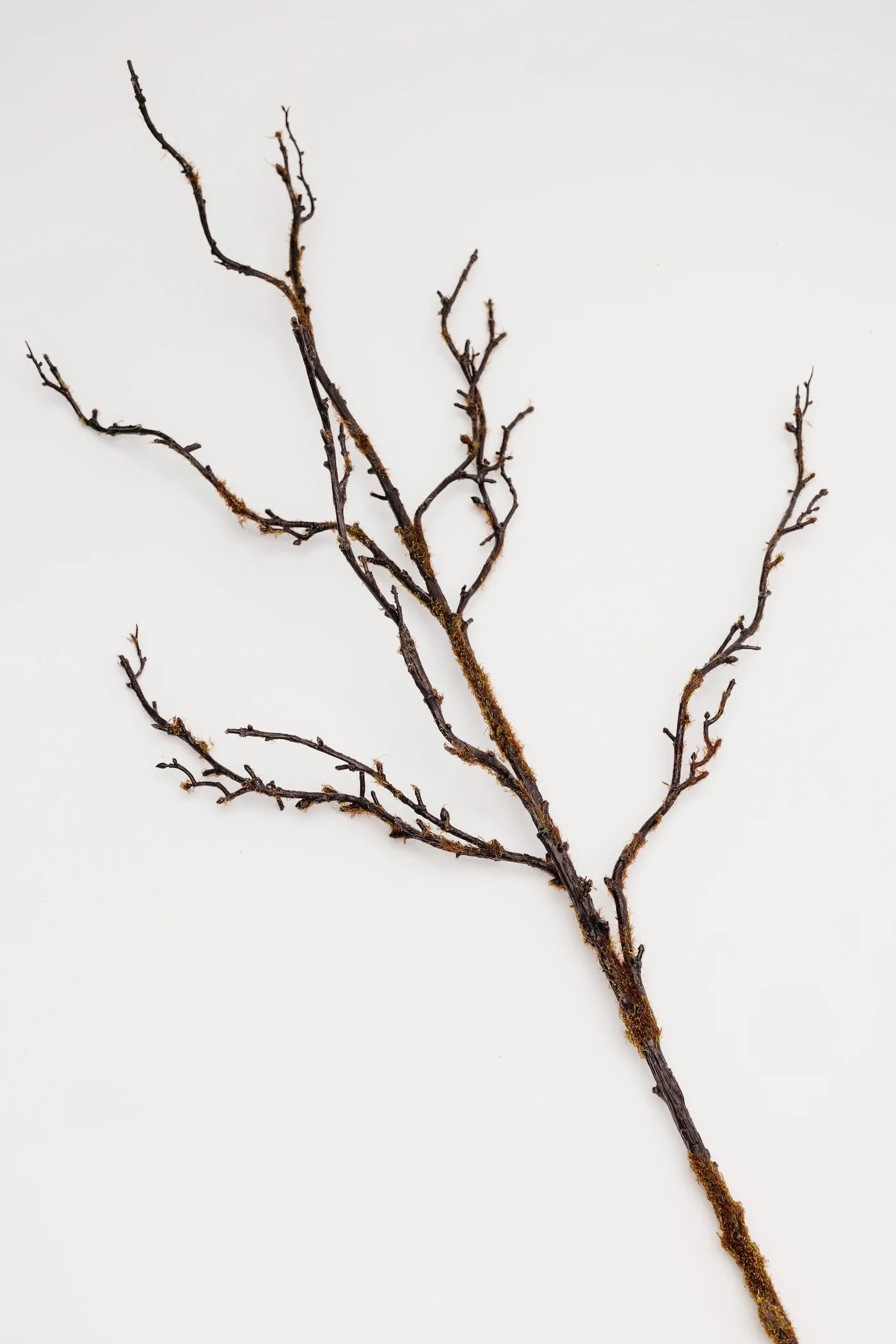 Carla Coffee Branch - 36" | THELIFESTYLEDCO