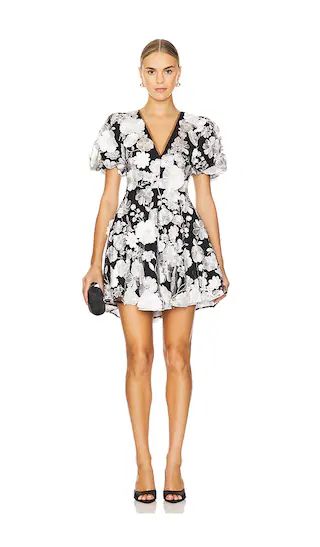 Selene Mini Dress in Black & White | Revolve Clothing (Global)