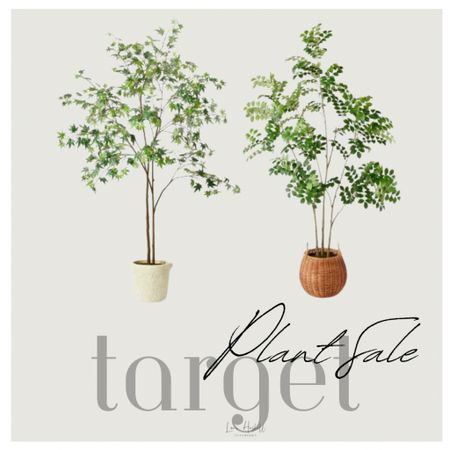 25% off faux trees from
Target! 

Home decor 
Organic 
Planter 
Faux floral 
Spring 

#LTKsalealert #LTKstyletip #LTKhome