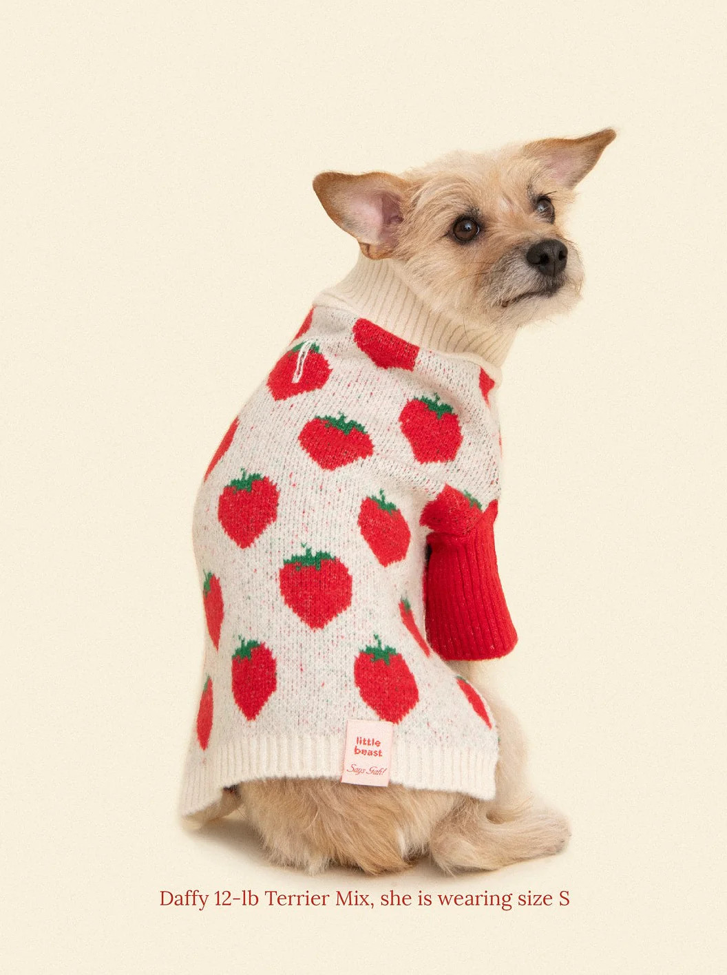 Meet the Parents Sweater - Strawberries | Lisa Says Gah