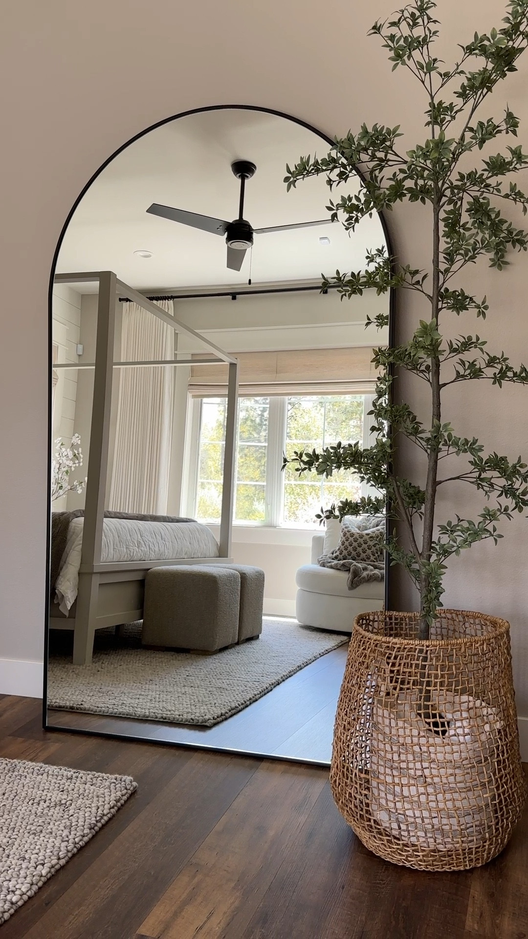 Save on one of my favorite black olive trees😍. This is the 7ft seen here

#LTKSummerSales #LTKHome #LTKVideo