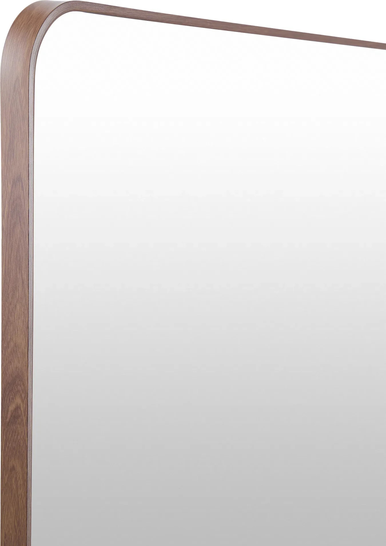 Aranya Indoor/Outdoor Minimalist Modern Mirror | Layla Grayce