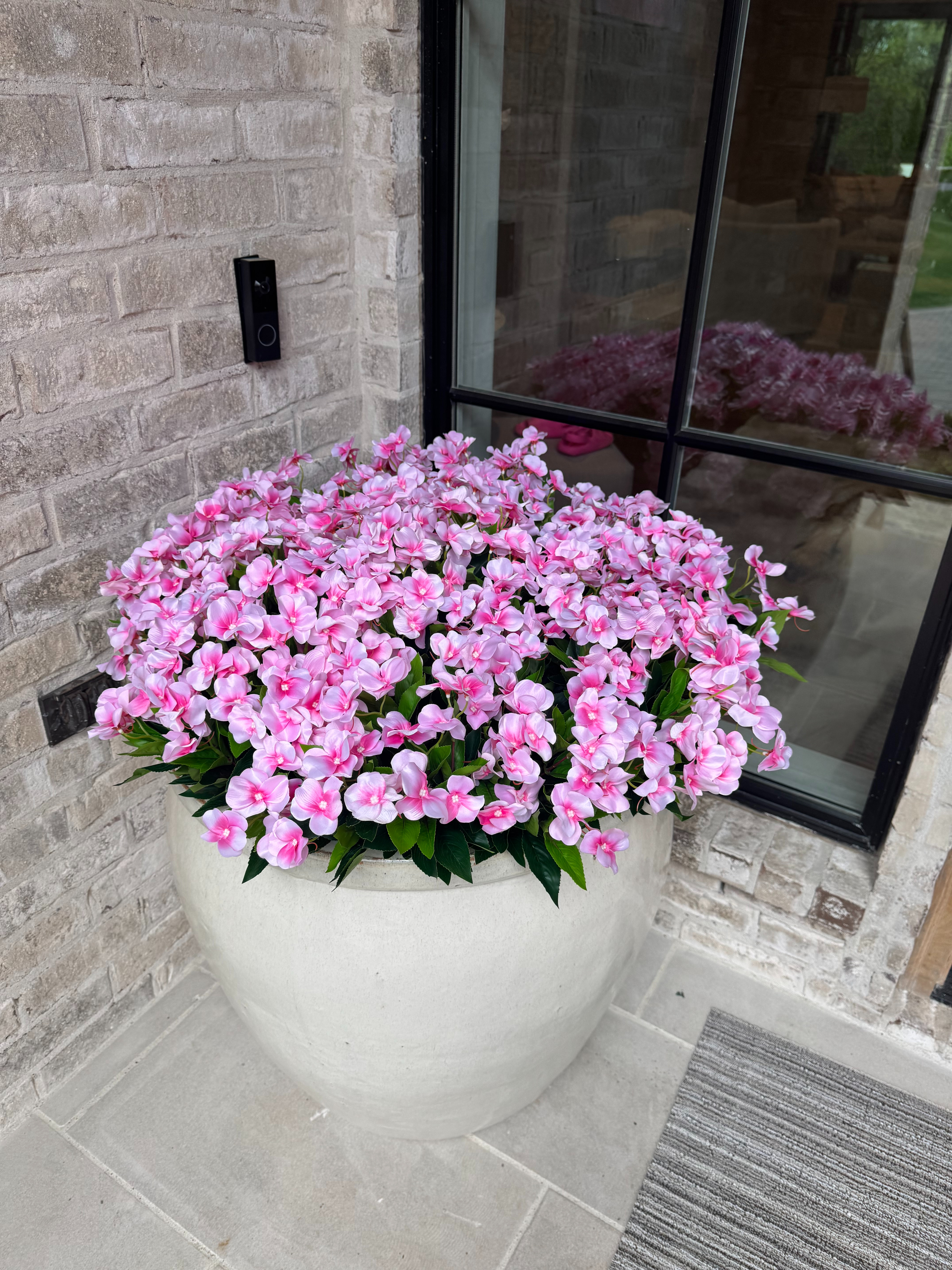  

 These both flowers are perfect for Summer heat when making your outside look amazing. #Amazon #Flowers #HomeDecor.

#LTKFindsUnder50 #LTKStyleTip #LTKHome