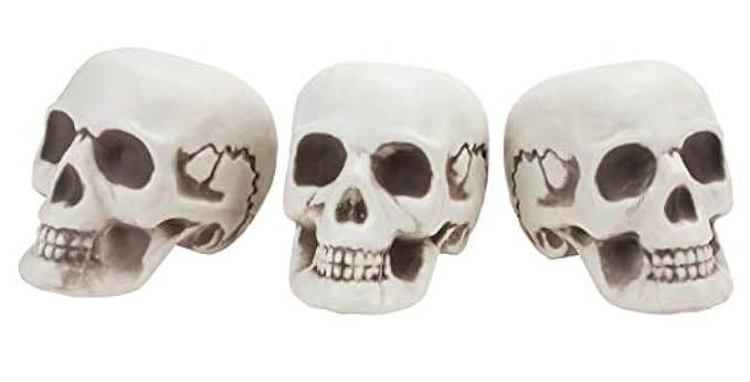 Halloween Skull Decoration - 3-Pack Plastic Mini Skeleton Skulls, Day of the Dead Decor, Novelty Hor | Amazon (US)