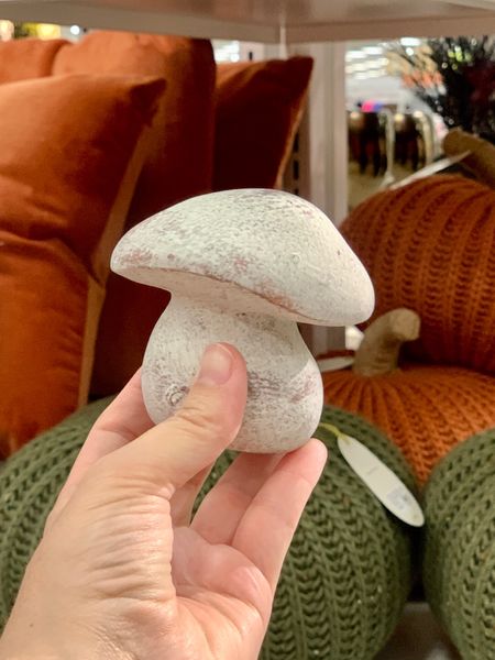 The most adorable ceramic mushrooms!  Comes in a beautiful, weathered white finish. Available in two sizes, both have very realistic, adorable shapes. 


This mushroom would be perfect for cottage core shelf styling or adding to any kind of vignette, from a buffet or side table vignette to part of a dining table centerpiece.  


• cottage core decor • tabletop decor • fall decor  •  mushroom decor • new at Target • 

#LTKunder50 #LTKhome #LTKFind