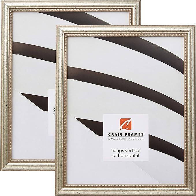 Craig Frames 81405100 10 x 12 Inch Picture Frame, Distressed Silver, Set of 2 | Amazon (US)