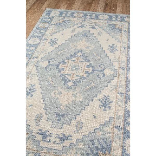 Denya Blue Rug | Wayfair North America