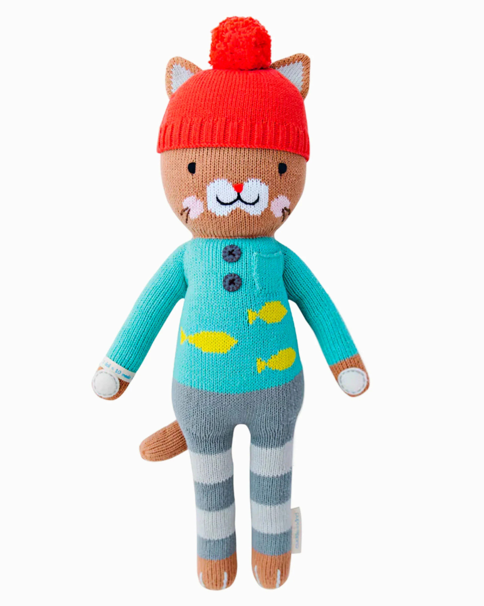 Maximus the cat | cuddle+kind