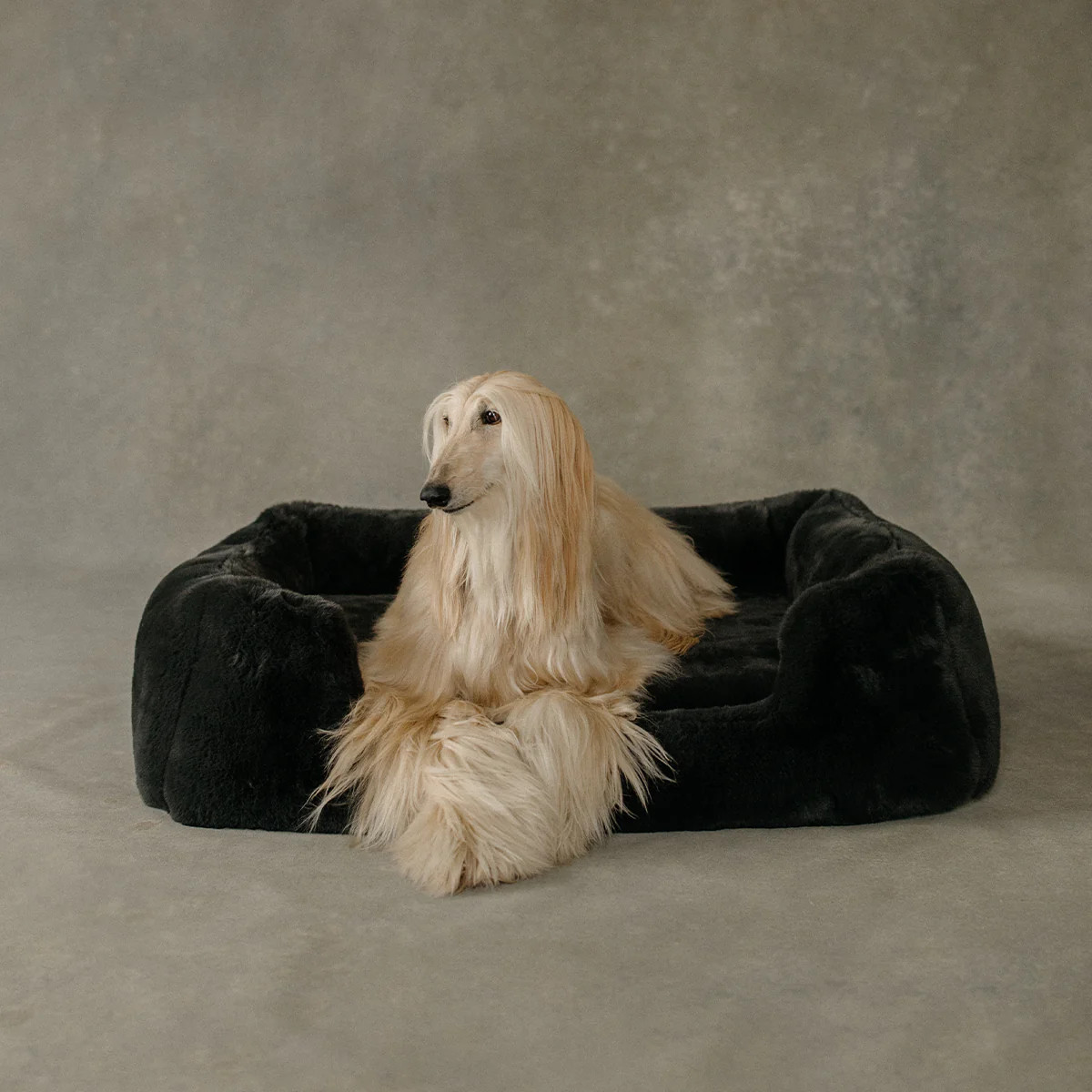 The Lola Pet Bed | Charcoal Grey - Medium / Large | Lola Blankets