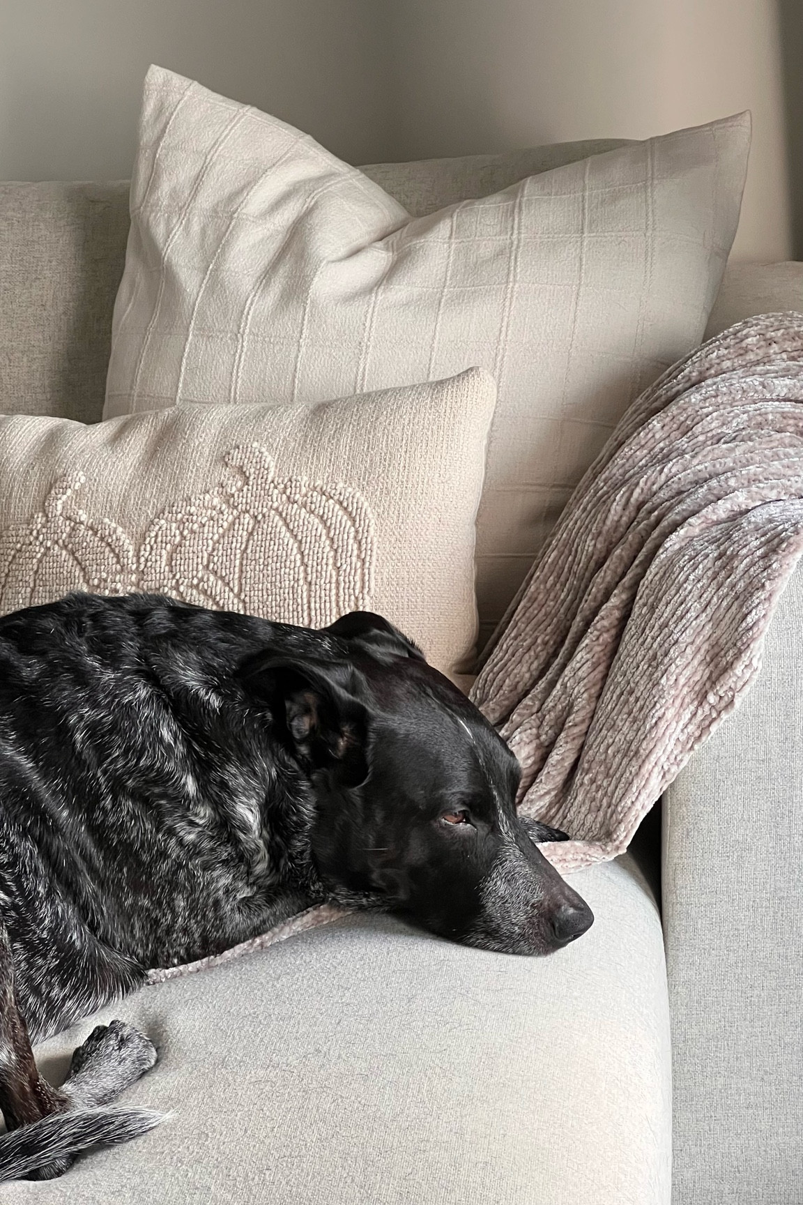 Some of our target favorites that are on sale right now 🤎 

#LTKSeasonal #LTKsalealert #LTKhome