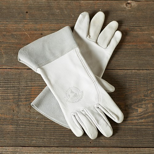 Gardeners Goat Skin Gloves, Small | Williams-Sonoma