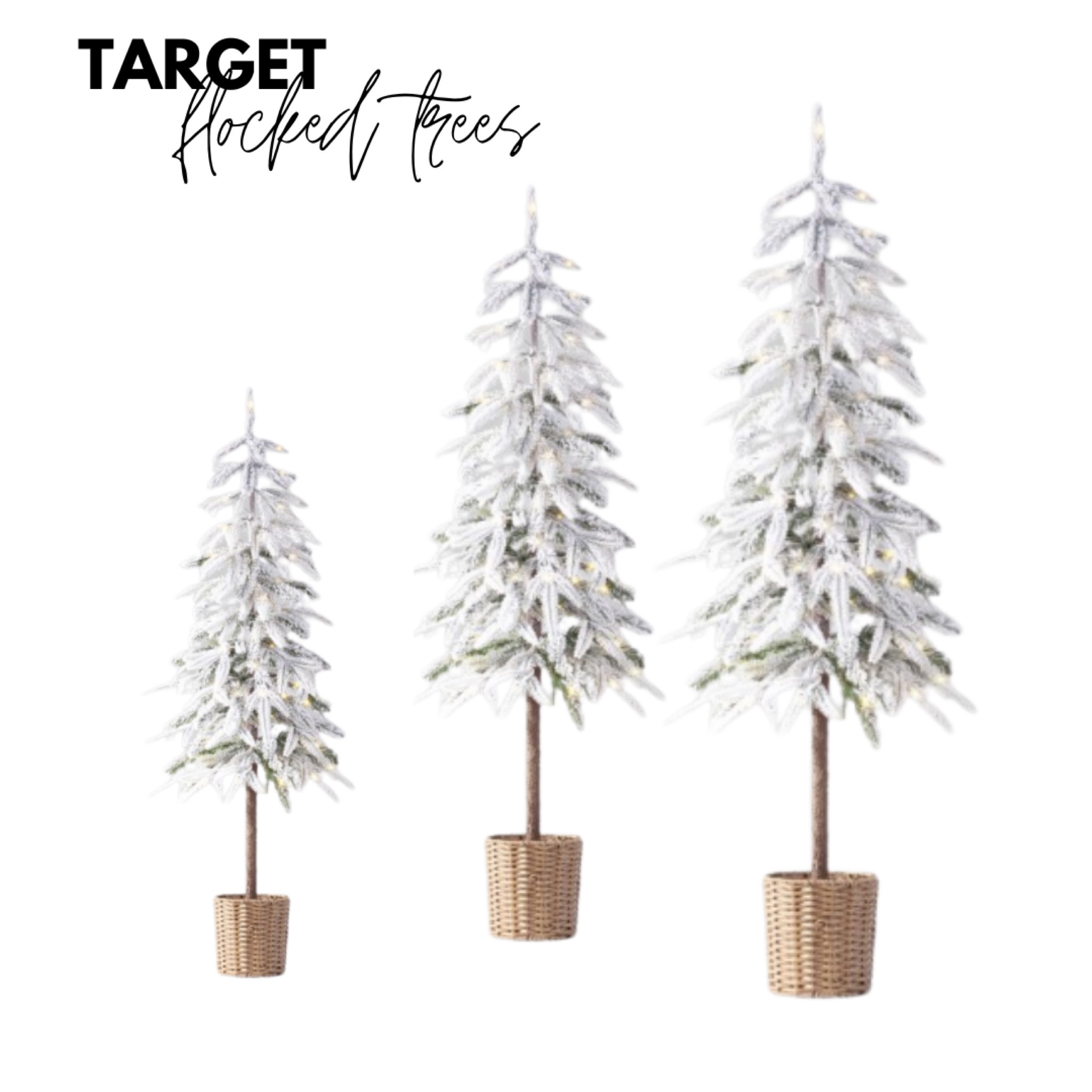 Target Flocked Balsam Christmas trees in a basket!