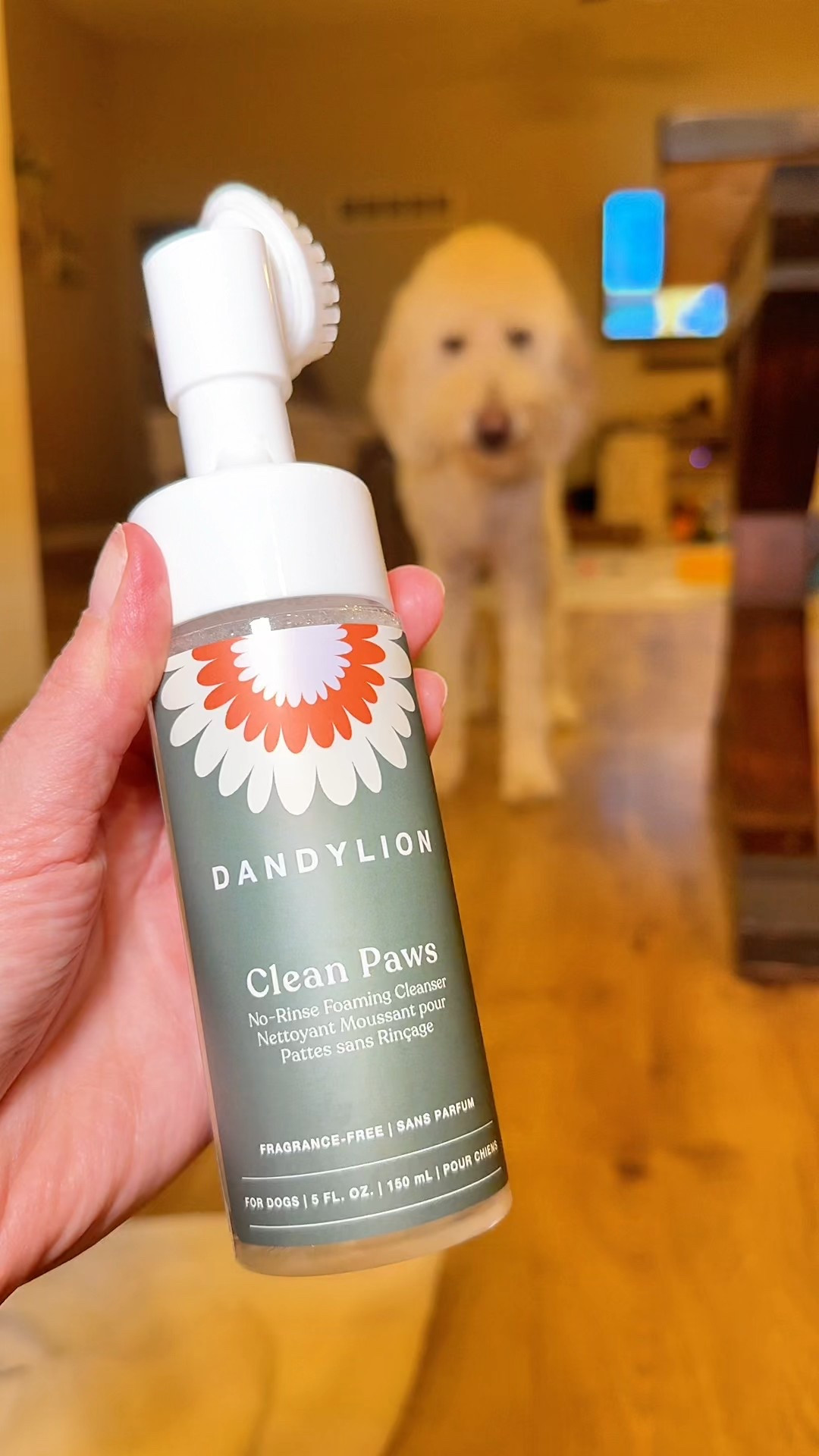 Don’t forget about your pups this Christmas!! Keep their paws clean and moisturized! 

#LTKPets #LTKFindsUnder50 #LTKCyberWeek
