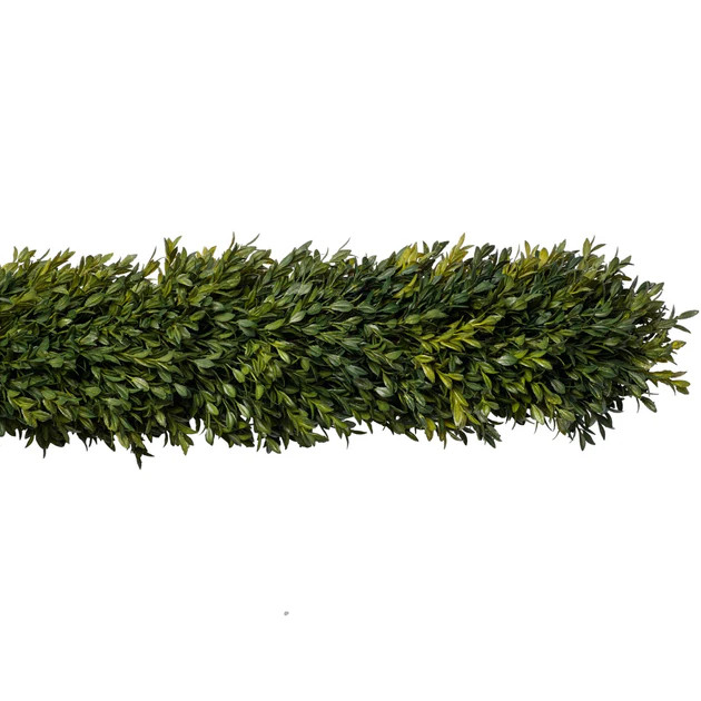 Boxwood Faux Garland | Cailini Coastal