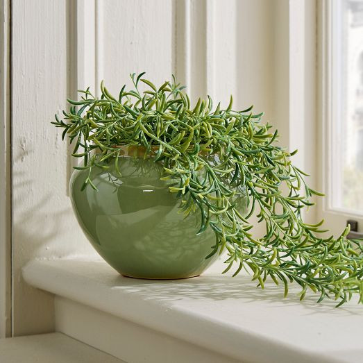 Faux Potted Drippy Plant | West Elm (US)