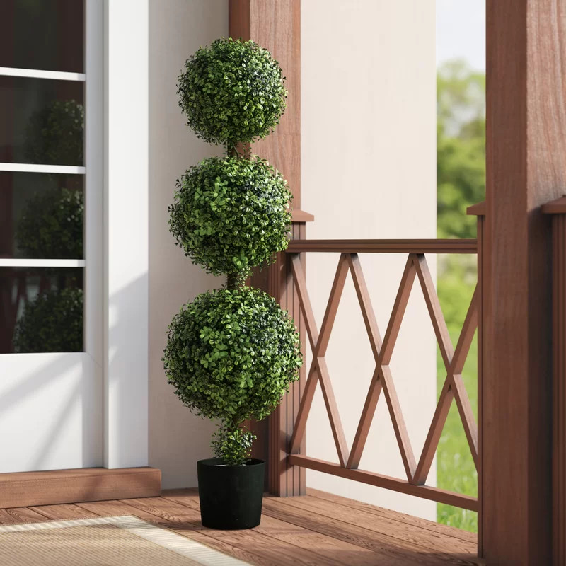 Triple Ball Boxwood Topiary in Pot | Wayfair North America