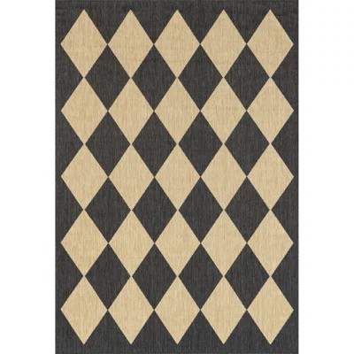 Sabina Diamond Trellis Indoor/Outdoor Area Rug | Wayfair North America