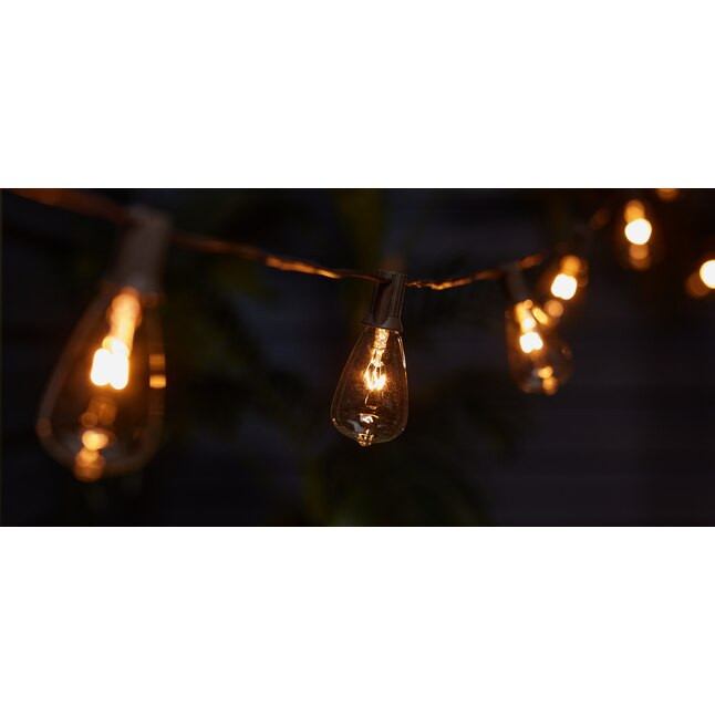 allen + roth 33-ft Plug-in Brown Indoor/Outdoor String Light with 30 White-Light Incandescent Edi... | Lowe's