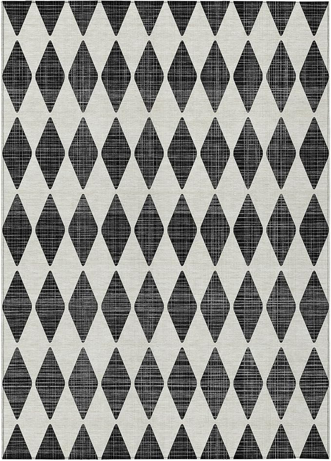 Addison Rugs Chantille ACN578 Black 3' x 5' Indoor Outdoor Area Rug, Easy Clean, Machine Washable... | Amazon (US)