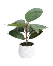 24in Real Touch Rubber Plant In Concrete Pot | TJ Maxx