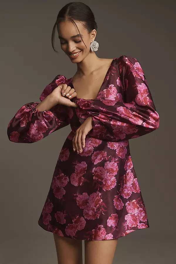 BHLDN Aliana Long-Sleeve V-Neck Floral Organza Mini Dress | Anthropologie (US)