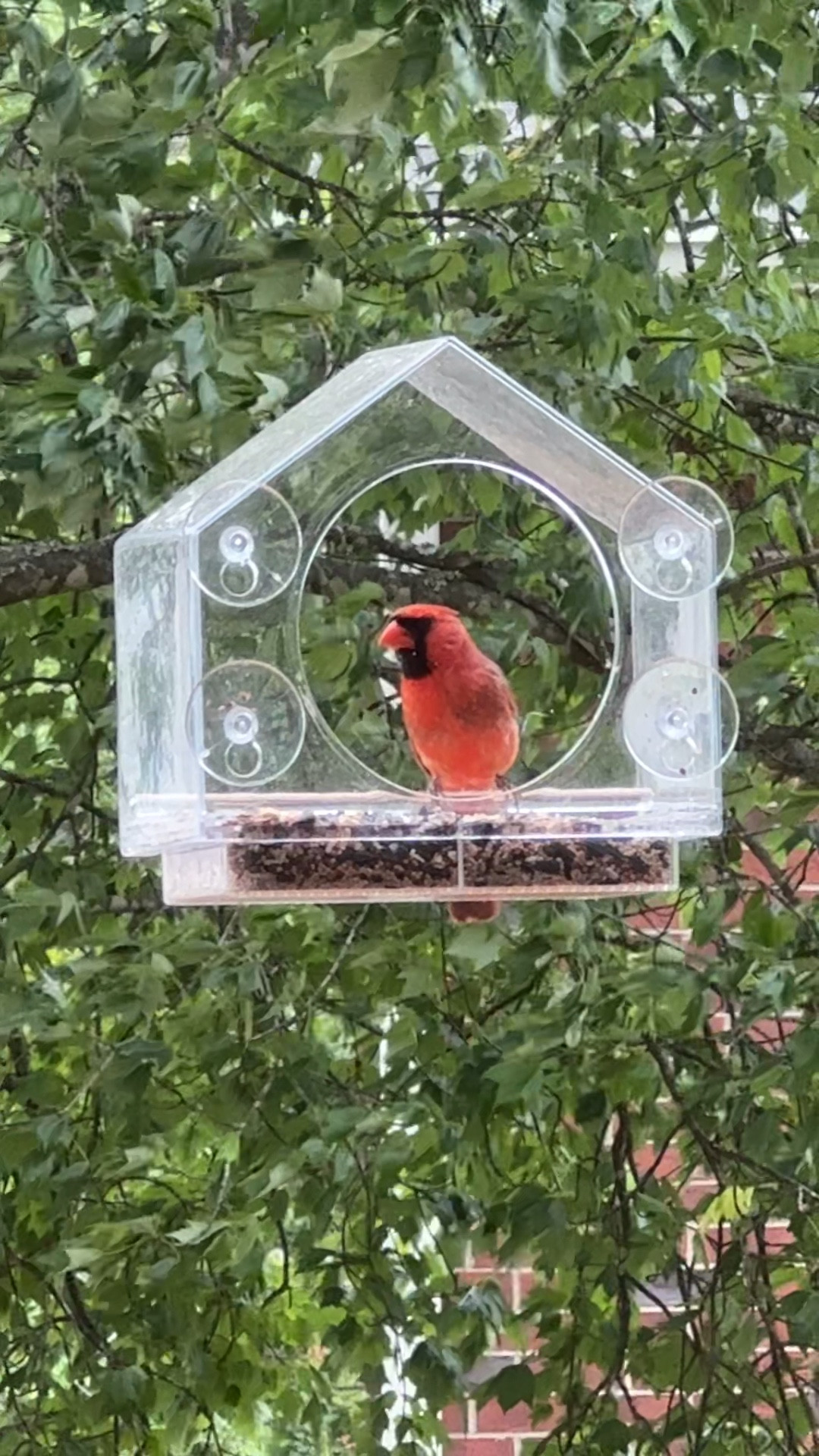 #amazonhome #amazonfind #mothersday #mothersdaygift 

#LTKGiftGuide #LTKfindsunder50 #LTKhome