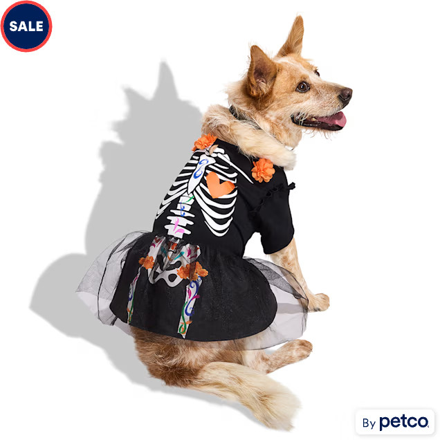 Bootique Dia de los Muertos Skeleton Pet Dress, Medium | Petco