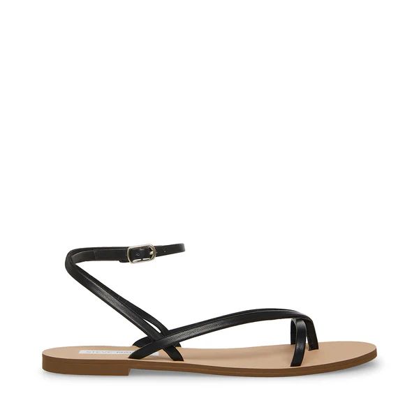 AMUSE BLACK | Steve Madden (US)