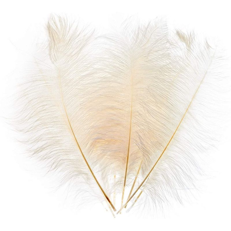 Bright Creations 12 Pack White Ostrich Feather Plumes 12 14 Inches for Crafts, Home, Wedding & Pa... | Target