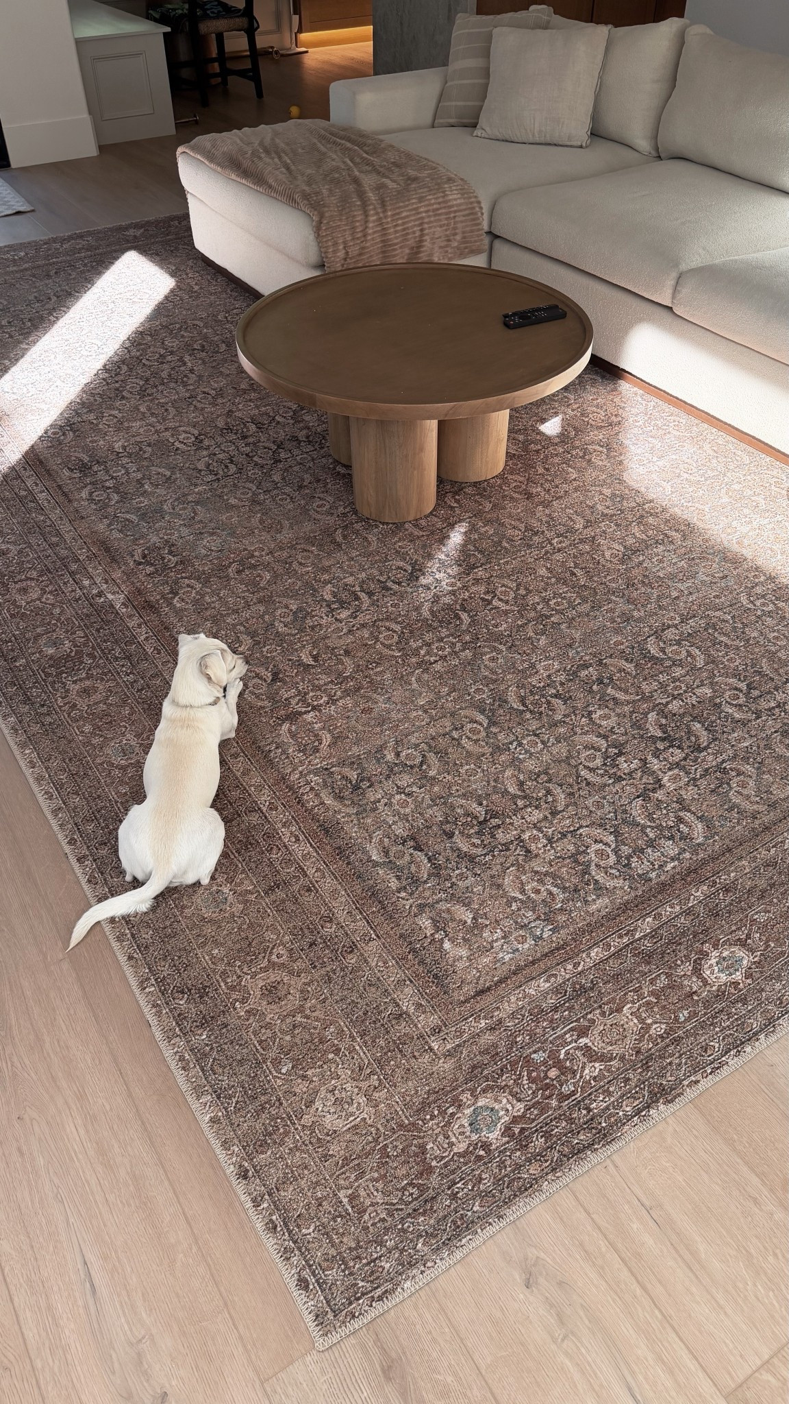 Area rug // Rug // Living room decor 

#LTKHome