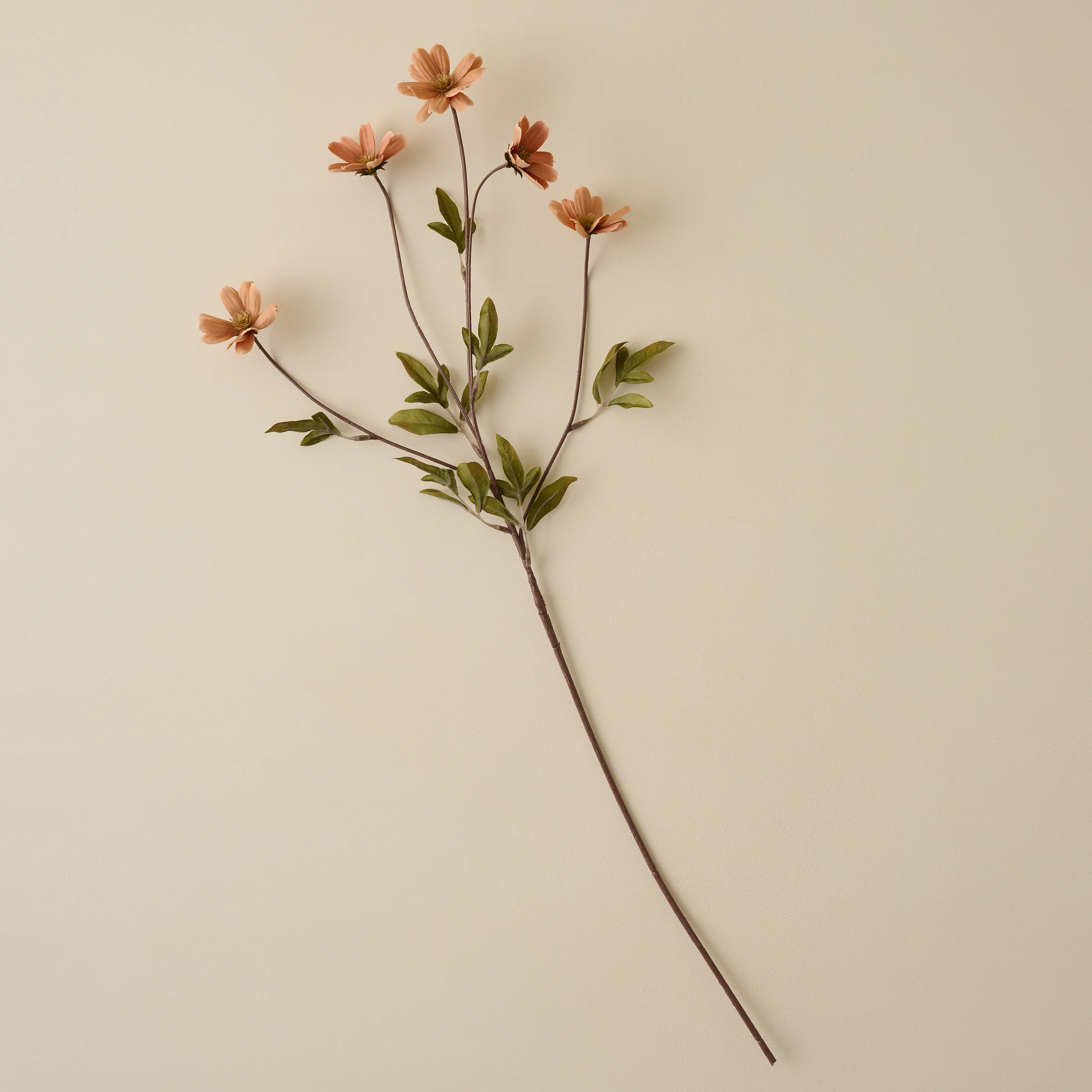 Light Amber Cosmos Stem | Magnolia