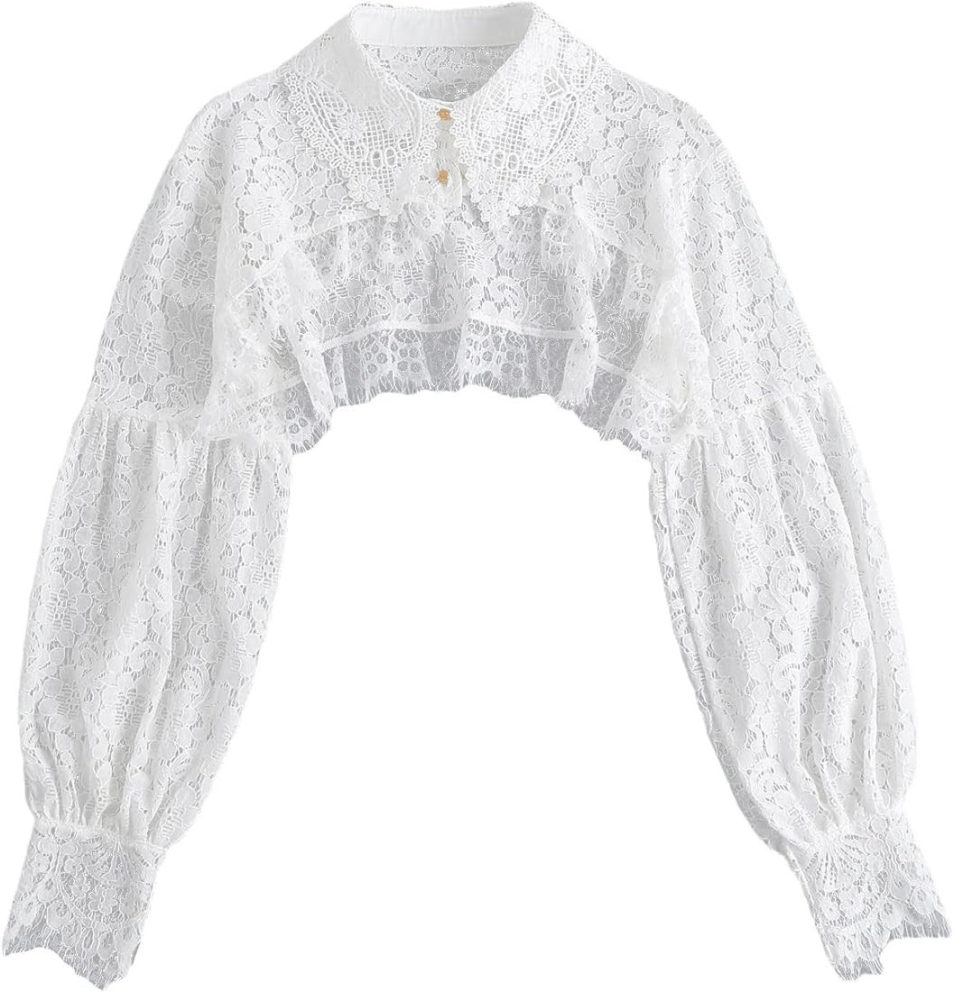 Fake Collar Long Sleeves Detachable Half Shirt Victorian Blouse Top for Women | Amazon (US)