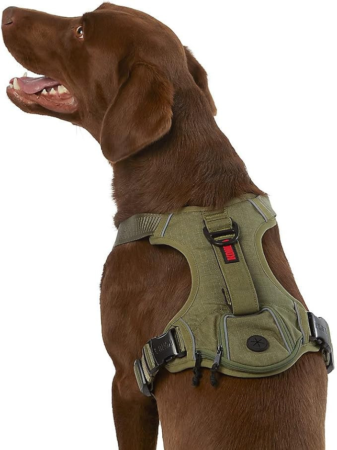 KONG Ultra Durable Waste Bag Harness (Large, Green) | Amazon (US)