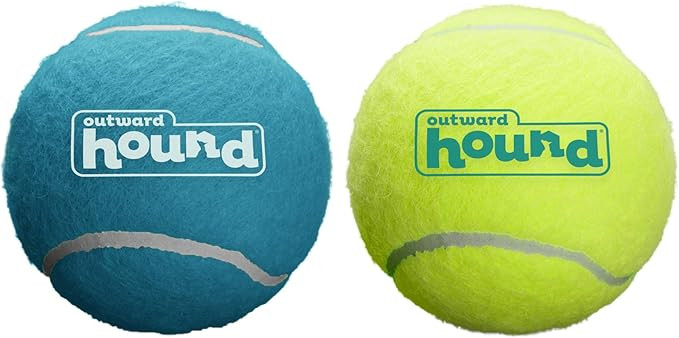 Outward Hound Squeaker Ballz Fetch Dog Toy, Large - 2 Pack | Amazon (US)
