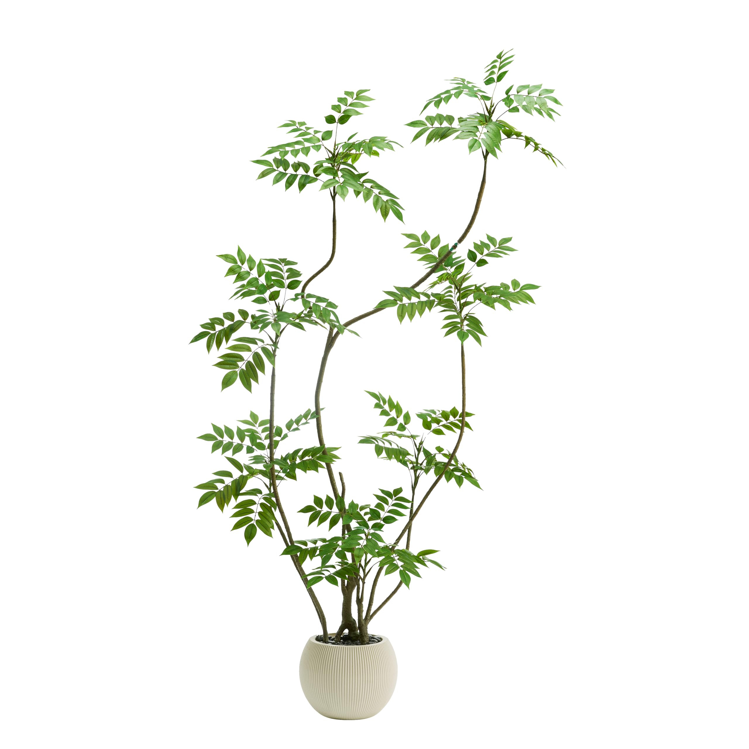 Artificial Sumac Tree：6FT Faux Mahonia Fortunei Tree Realistic Fake Floor Plant Silk Leaves & E... | Amazon (US)