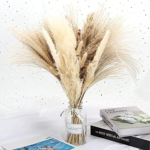 HYGQAXKO 65Pcs Natural Dried Pampas Grass Large, White Fluffy Pampas Grass, Pompass Grass Plant Deco | Amazon (US)