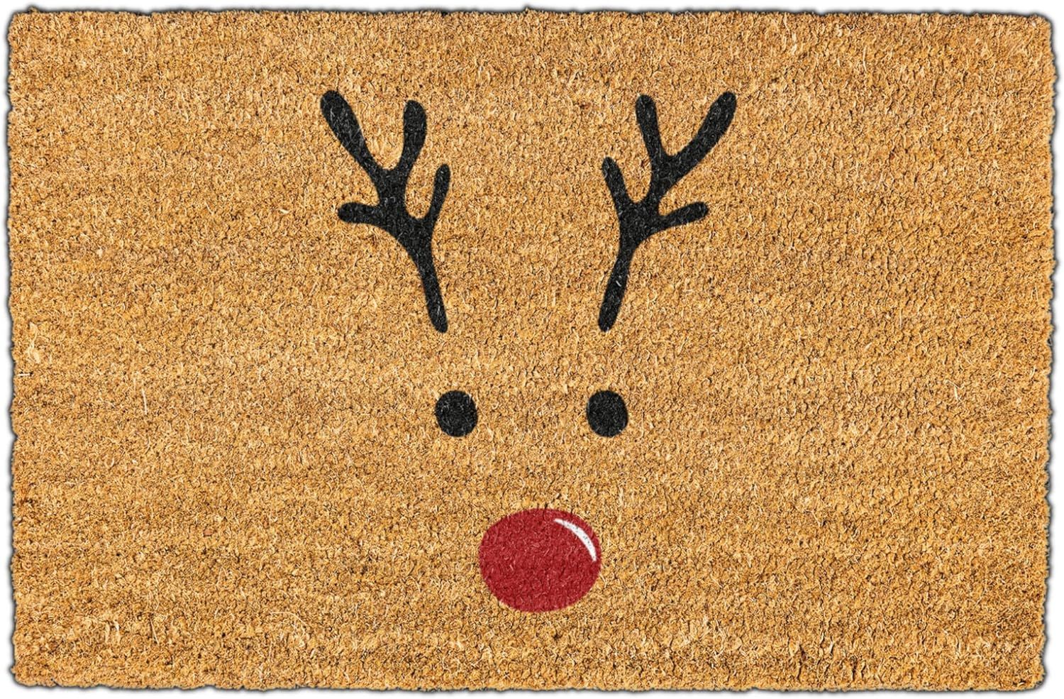 Rudolph Doormat, Welcome Mat for Front Door, Christmas Entrance Mat with Anti-Slip PVC Backing, W... | Amazon (US)