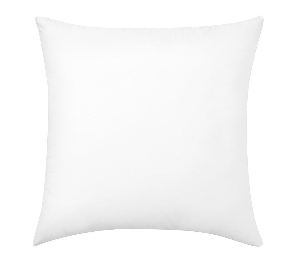 Euro Pillows | Pottery Barn (US)