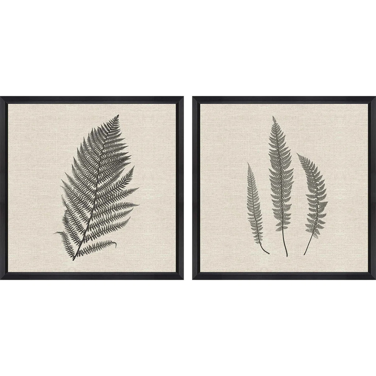 " Modern Ferns II " by Langdon 2 - Pieces (Set of 2) | Wayfair North America