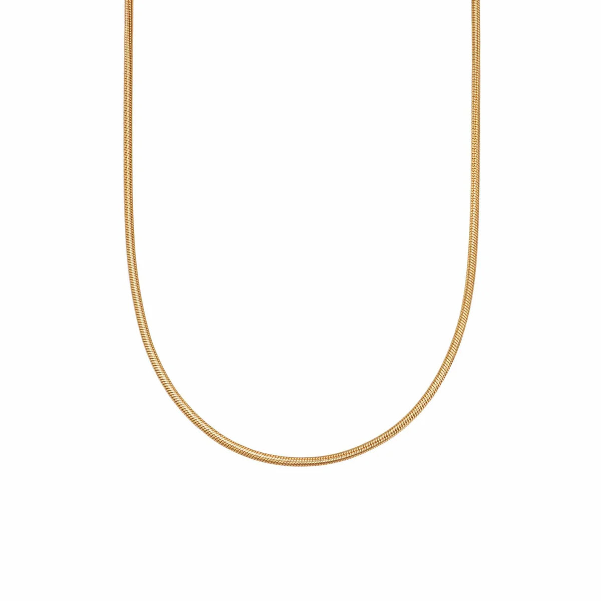 Round Snake Chain Necklace 18ct Gold Plate | Daisy London Jewellery