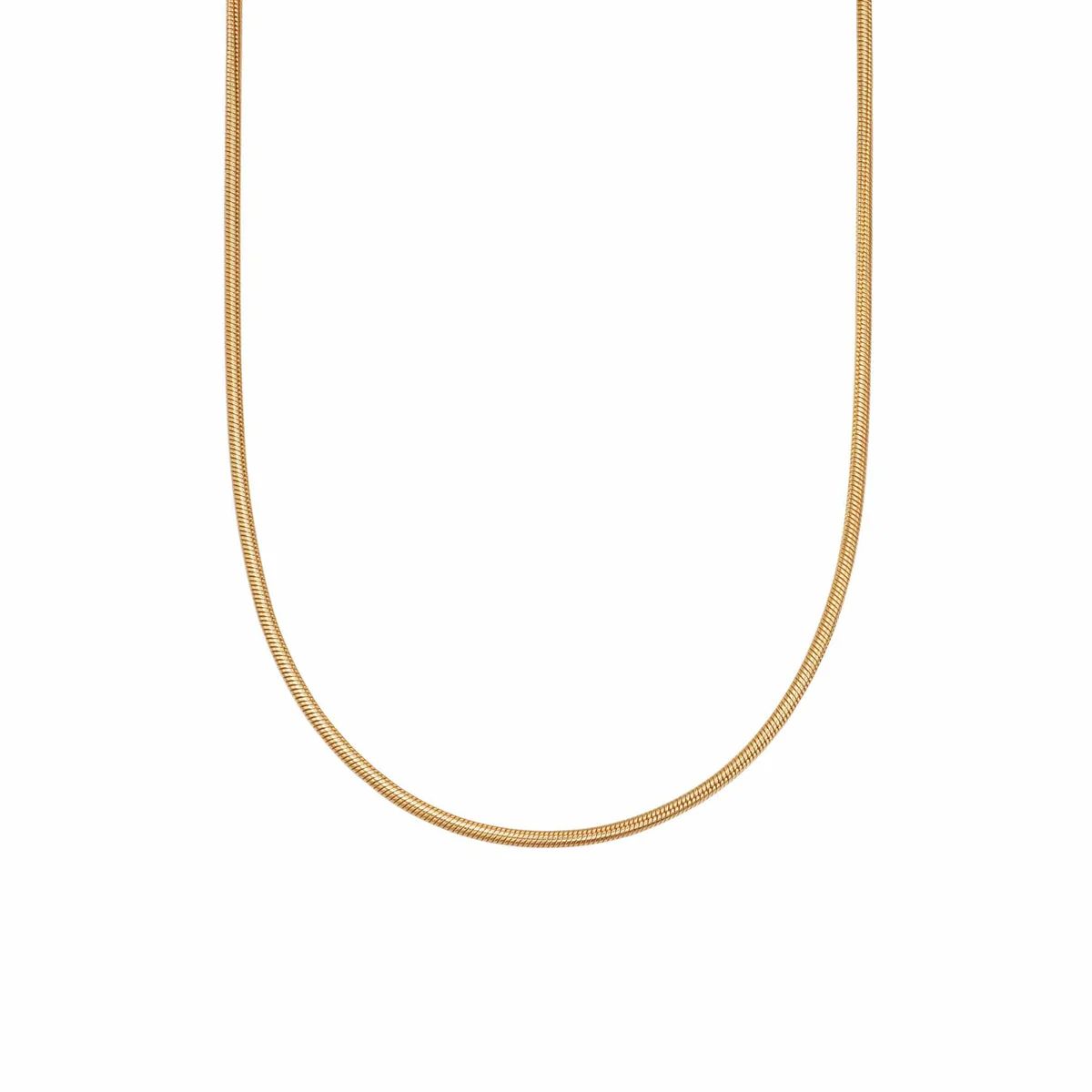 Round Snake Chain Necklace 18ct Gold Plate | Daisy London Jewellery