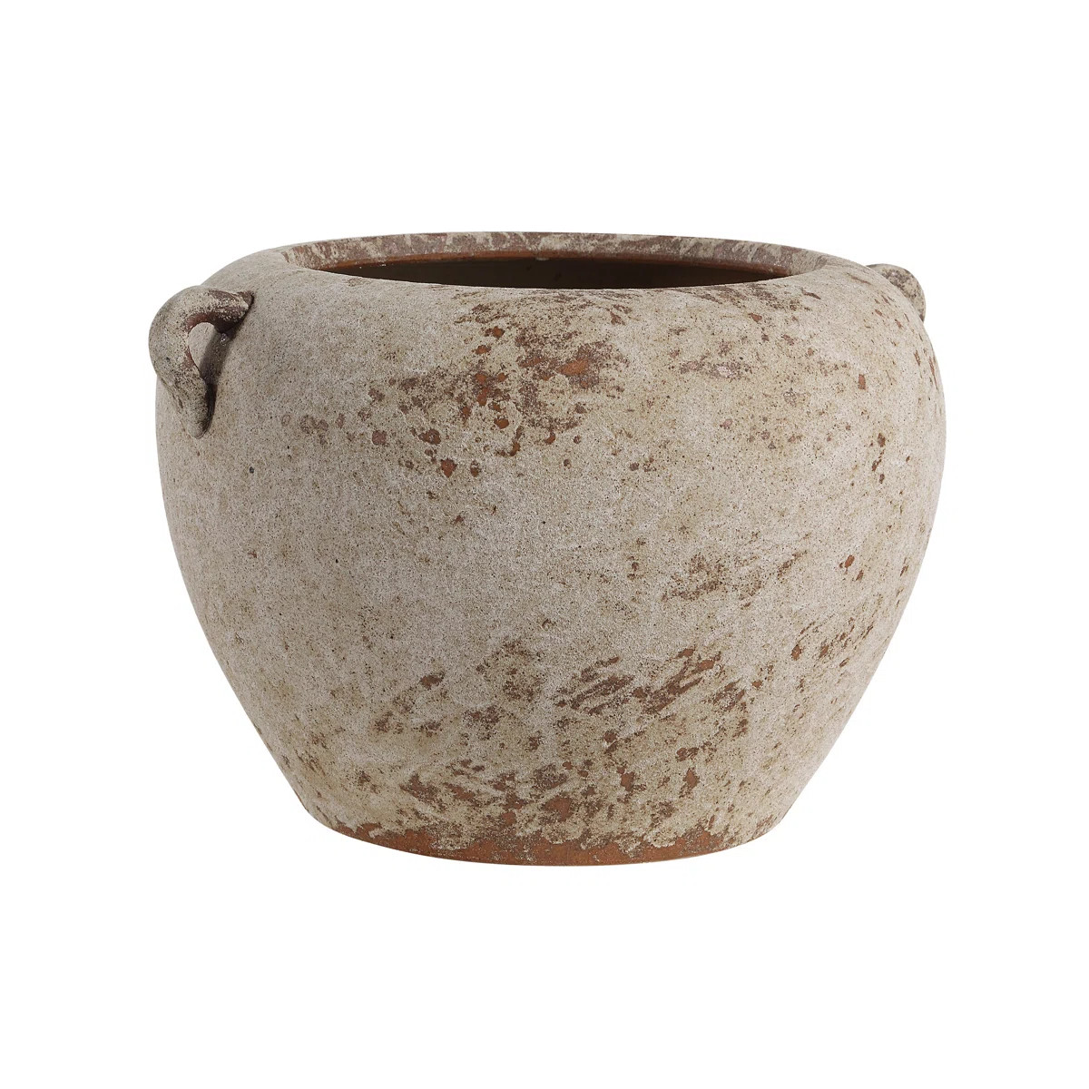 Severn Decorative Vase | Wayfair North America