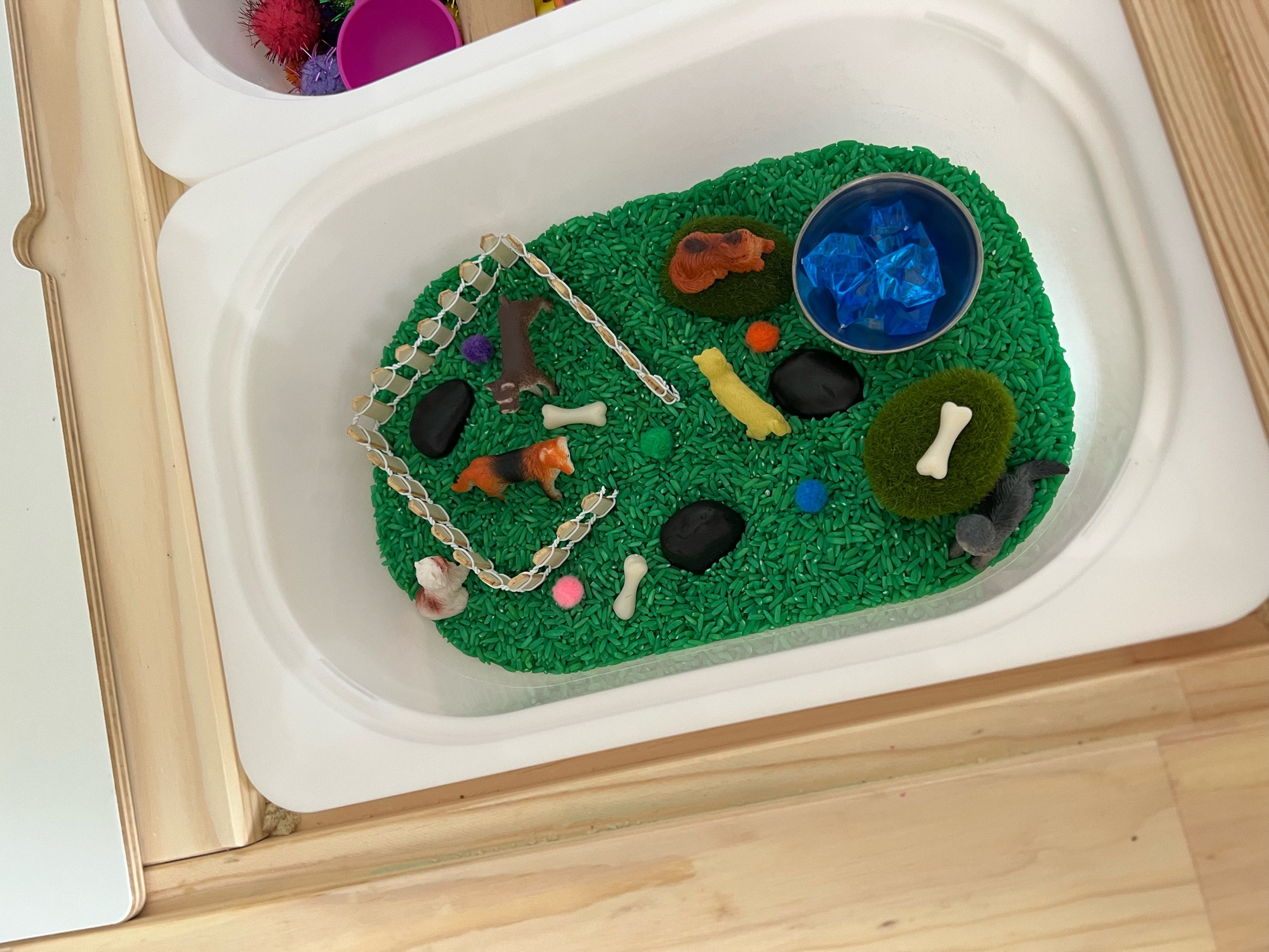 Pets Mini Sensory Bin