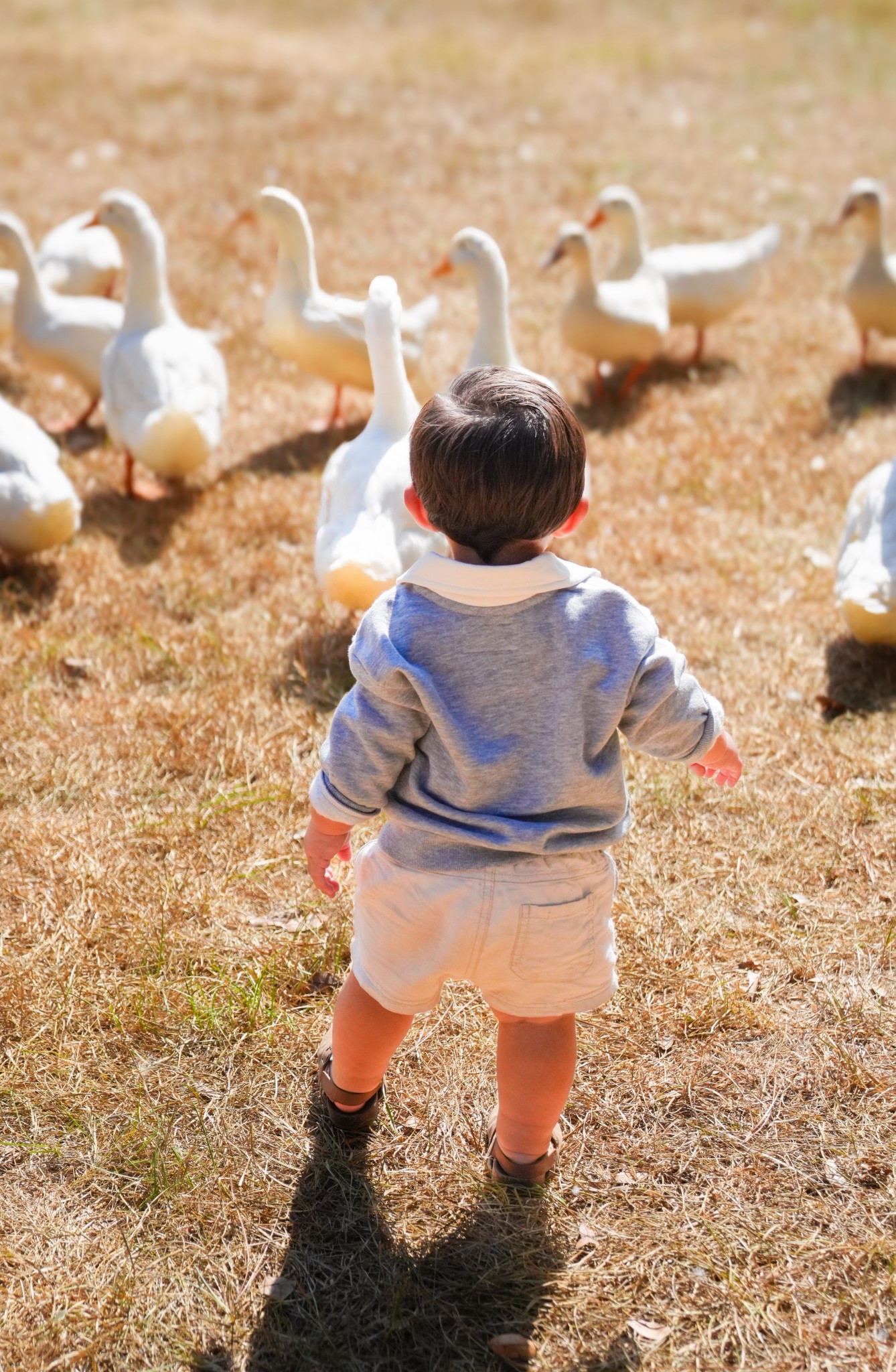 #LTKKids #LTKBaby #LTKFamily